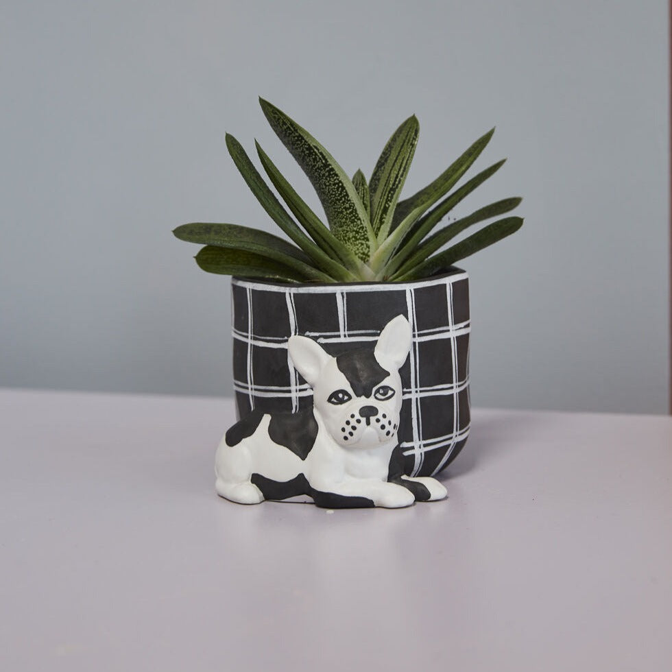 Ceramic Dog planter