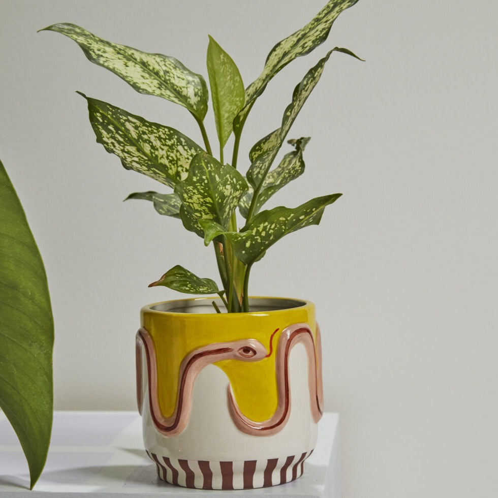 snake pot for plants Accent Decor Wild Tails Pot