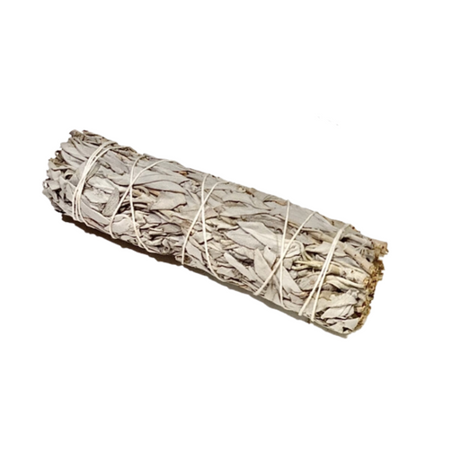Large Buffalo White Sage Stick
