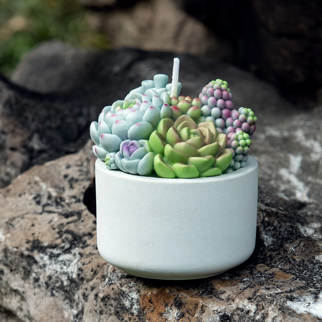 succulent candles bulk Succulent Candle In Pot – Candlestock