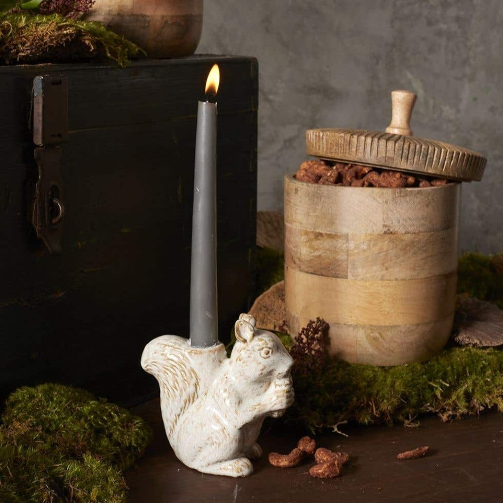 Chippy Squirrel Taper Candle Holder
