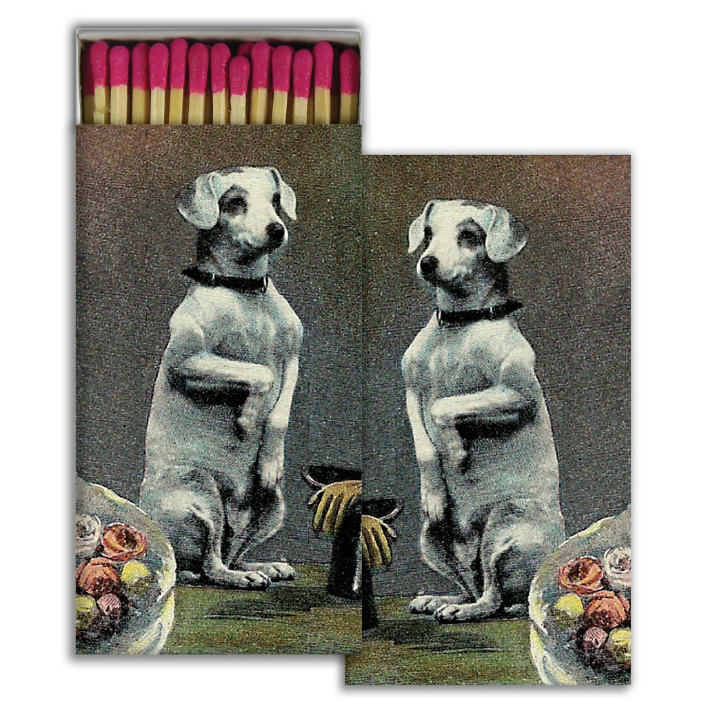 Dog Matches - Candlestock.com