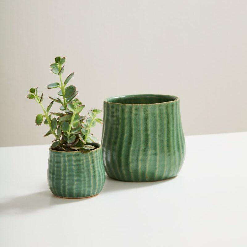 soft plant pots Palmero Pot, 3-Inch