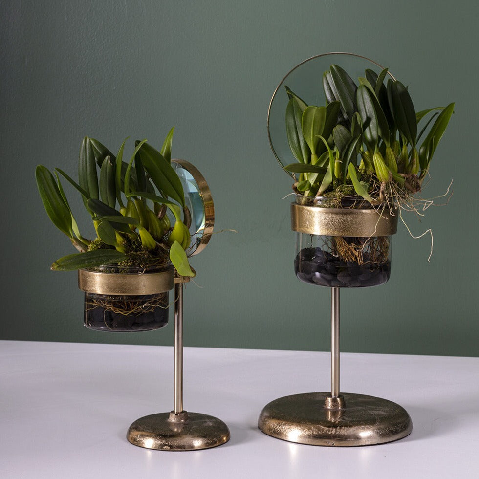 glass planter pots Spy Glass Planter
