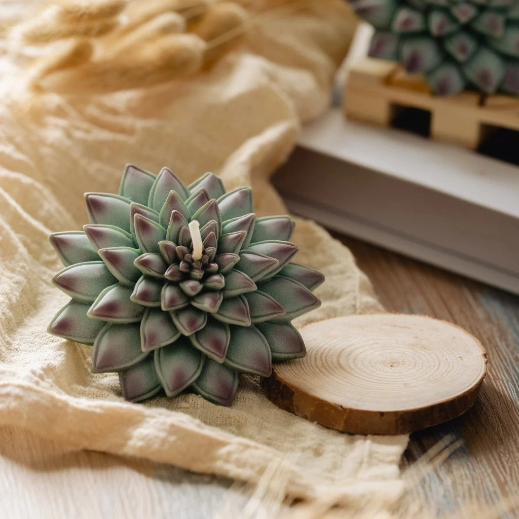 succulent candles Succulent Candle – Candlestock