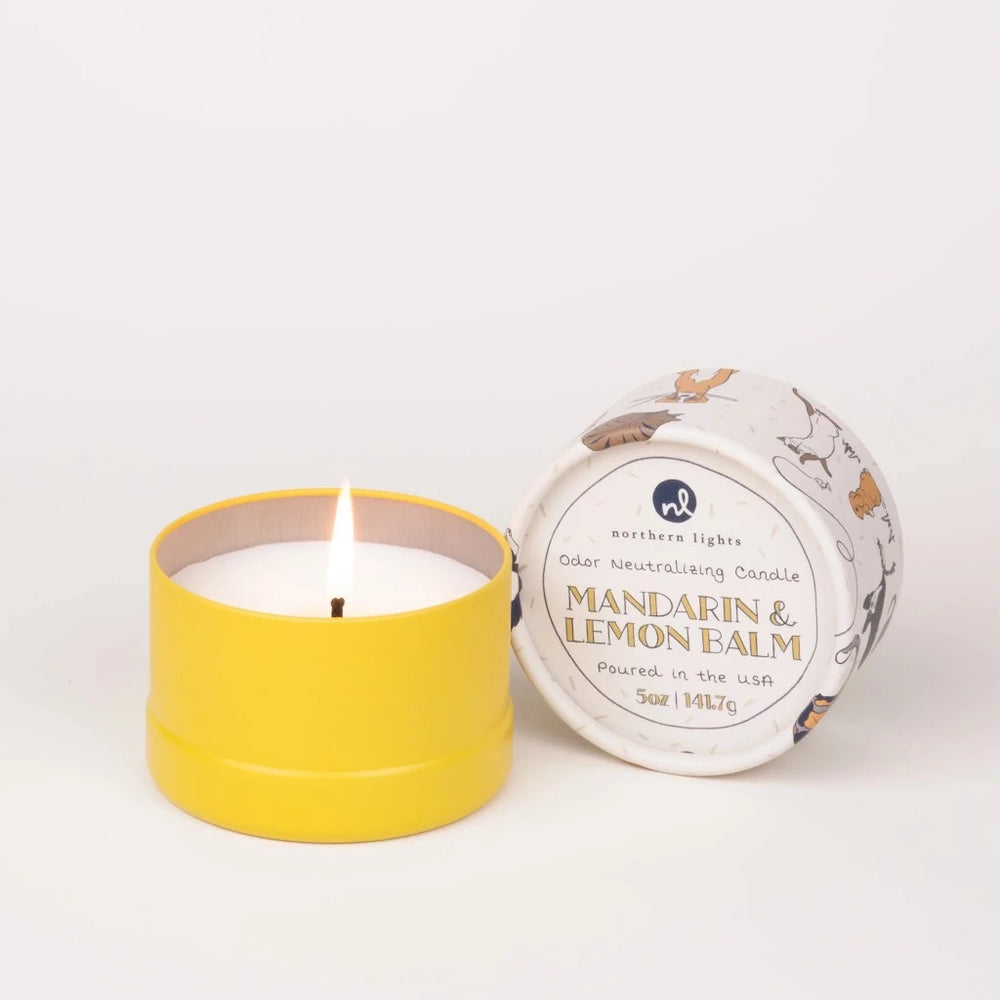 Northern Lights Paws on Scented Candle