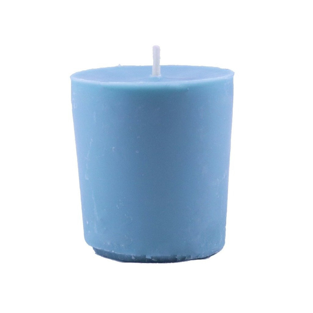 Blue Spruce 10oz 100% Soy Wax Candle/Melt – Binspira24