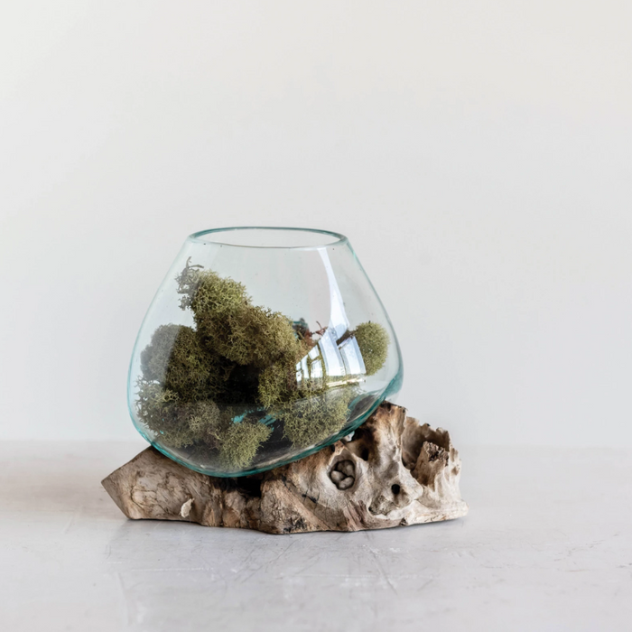 Driftwood Planter With Glass Insert