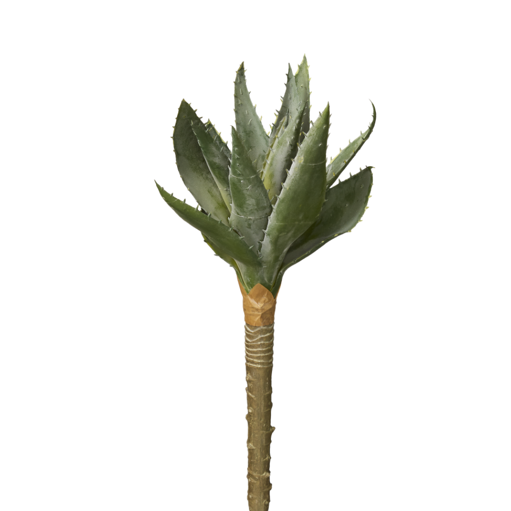 Faux Aloe Stem - 14 Inches – Candlestock