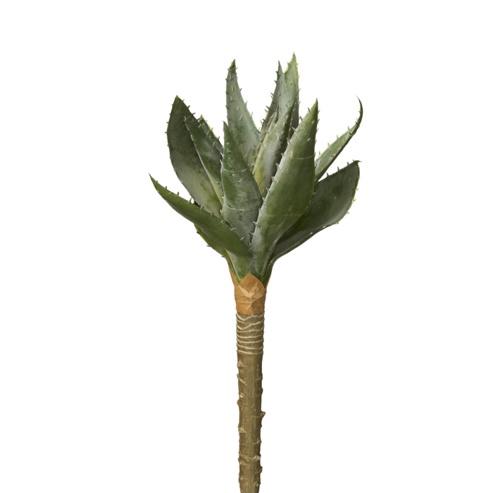 Faux Plant - Aloe Stem - Candlestock.com