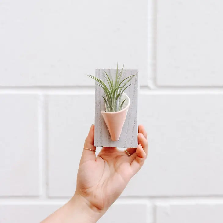 Ceramic Vase Wall Planter - Tiny