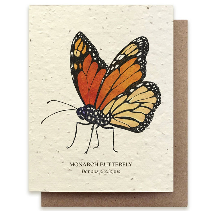Plantable Wildflower Seed Cards