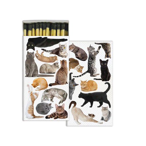Cat Pack Matches