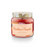 Illume Tried & True Scented Jar Candles - Autumn Scents