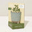 Modern Sprout Grow & Grow Candle