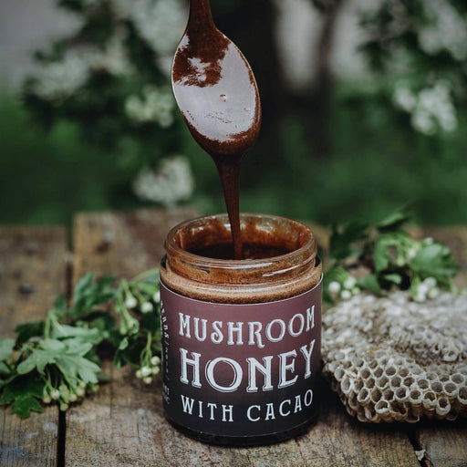 Mushroom & Cocoa Honey