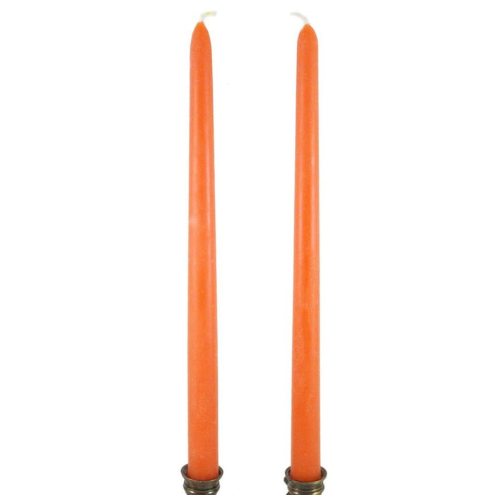 Beeswax Rounded Top Taper Candle Pair Sunspot - Candlestock.com