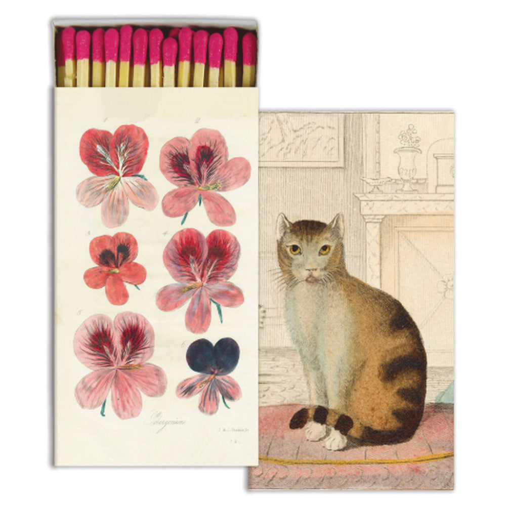Pelargonium & Calm Cat Matches