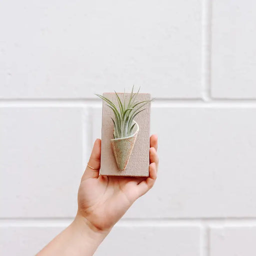 Ceramic Vase Wall Planter - Tiny