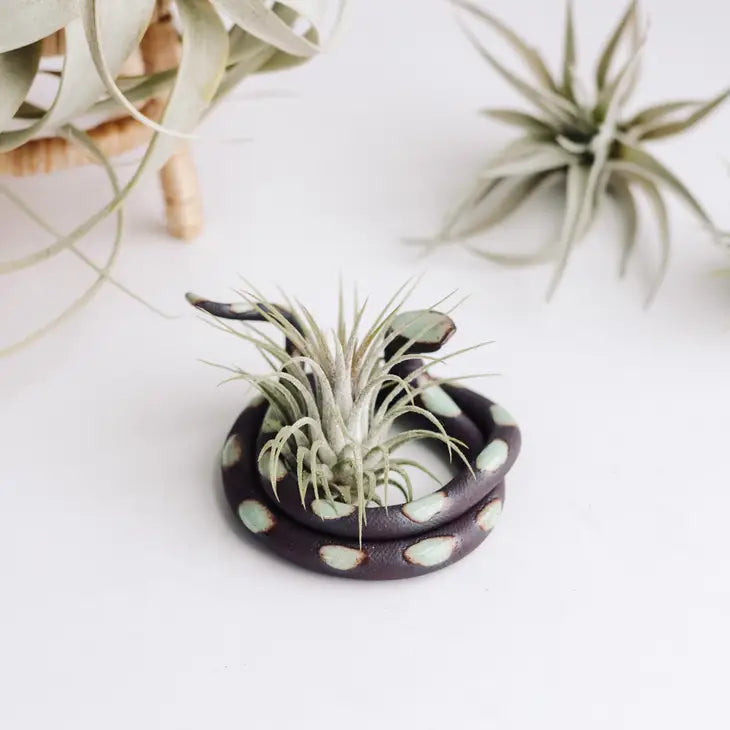 snake air plant Ceramic Snake